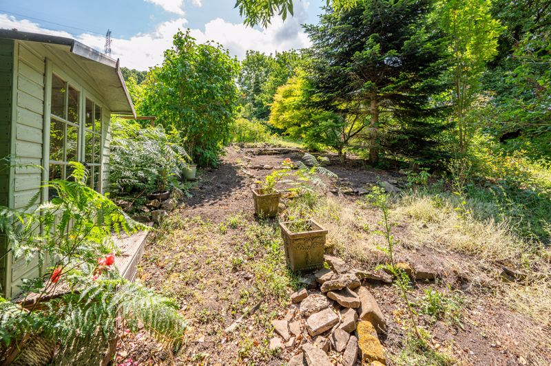 Garden- click for photo gallery